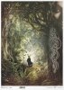 Nieodkryty magiczny świat - las, paproć, tajemnica, twarz, druidzi, kapłan celtycki, motywy celtyckie